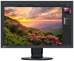 EIZO ColorEdge CS2400S - hardwarekalibrierbarer Wide Gamut Monitor